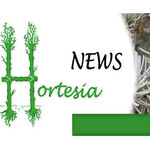 Hortesia News