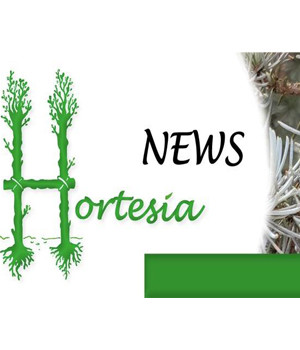 Hortesia News