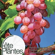 Fête des Plantes d'Automne 2023