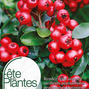 Fête des Plantes d'Automne 2025 - St Jean de Beauregard