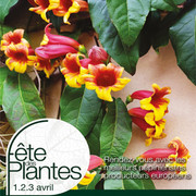 Fête des Plantes - Printemps 2022