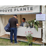 Le Trouve Plante