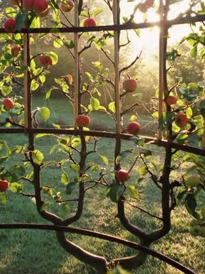 L’art de l’espalier Inscrit au Patrimoine Immatériel